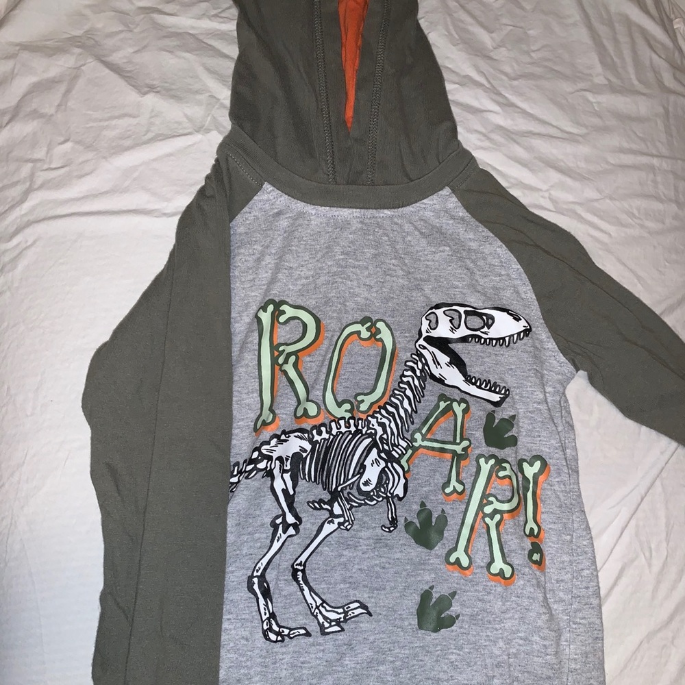 Boys dinosaur hoodie